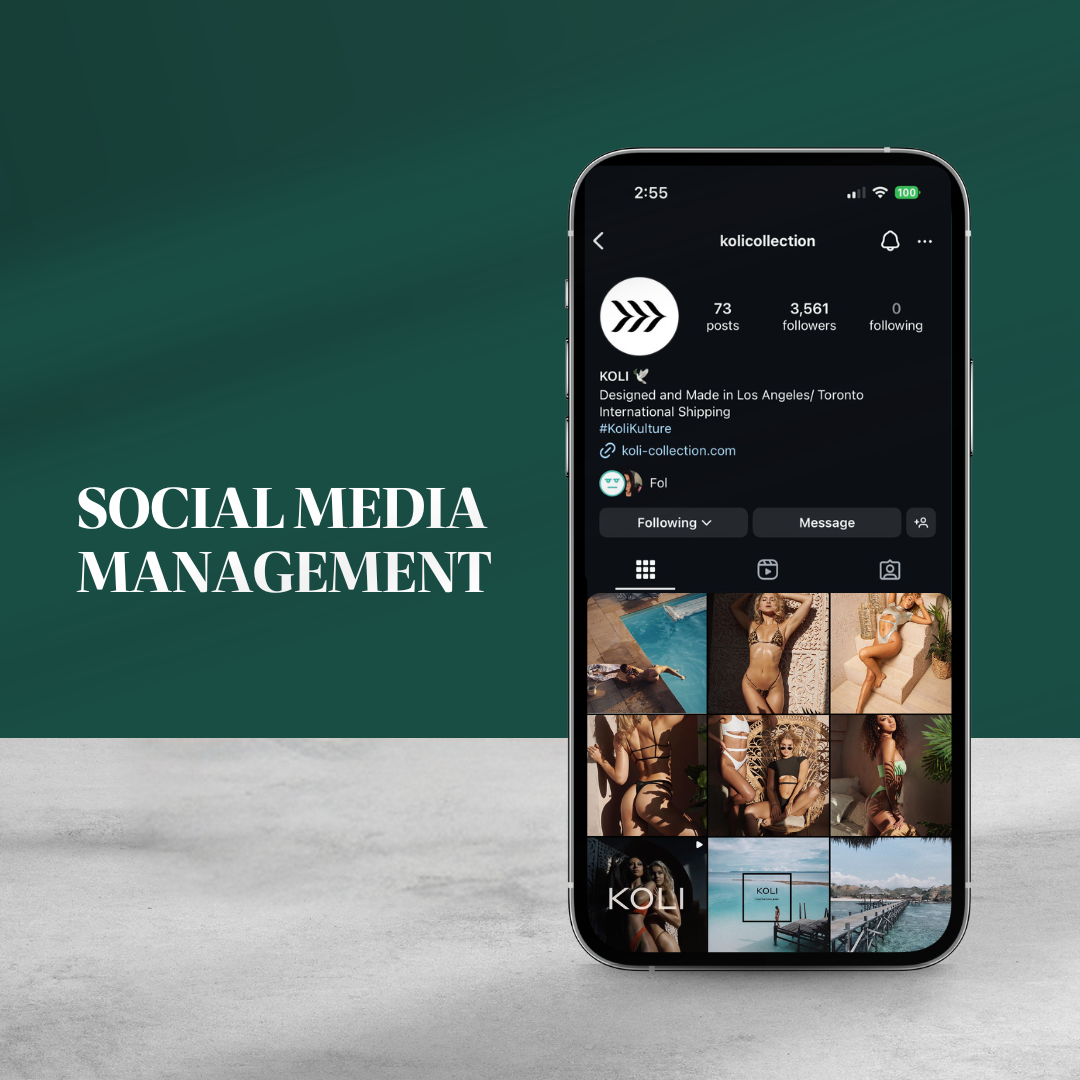 ecommerce fashion brand social media managment